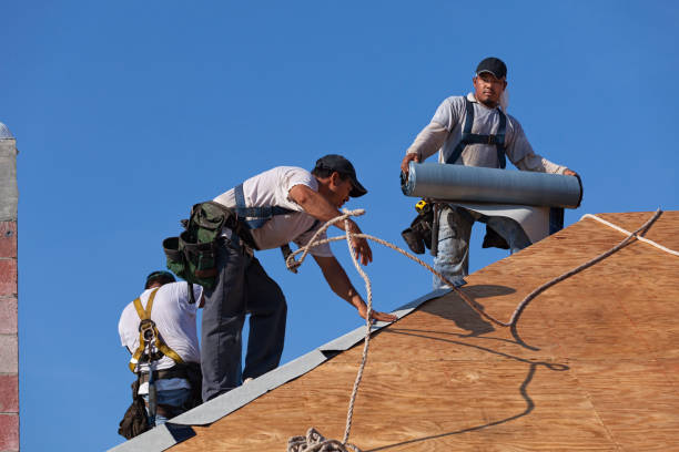 Best Roof Leak Repair  in Metropolis, IL